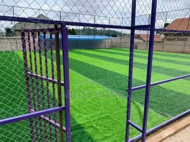 Indoor Grass Carpet