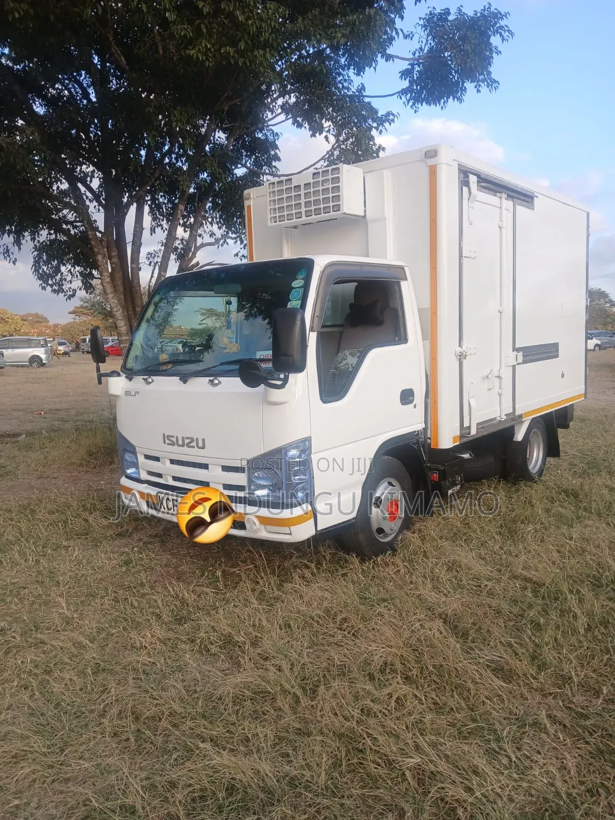 Isuzu ELF Truck on Sale