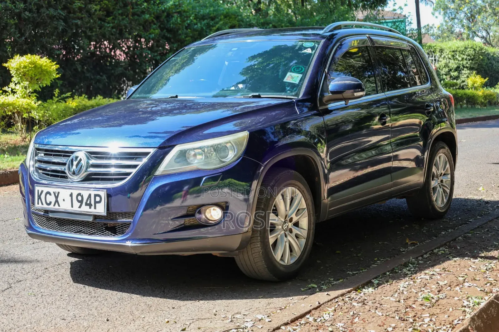 Volkswagen Tiguan 2010 Blue
