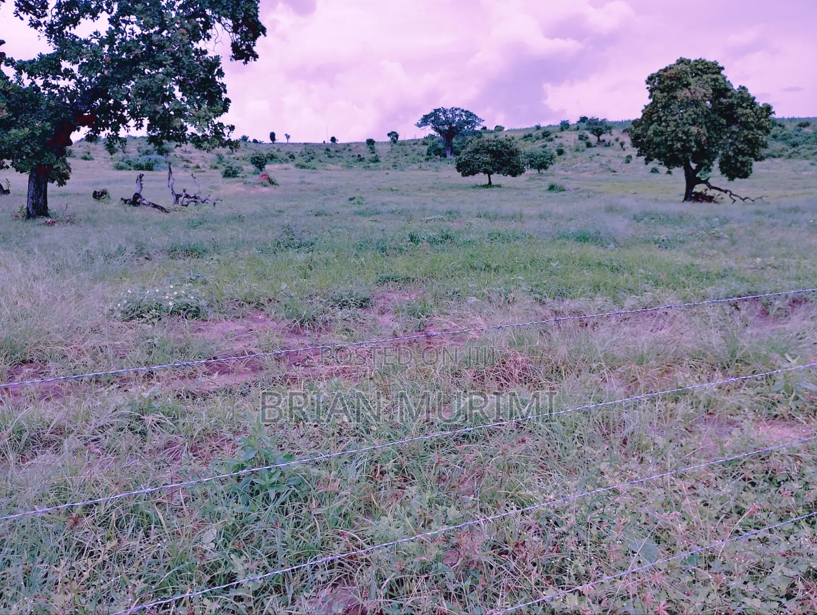 30 Acre Land for Sale