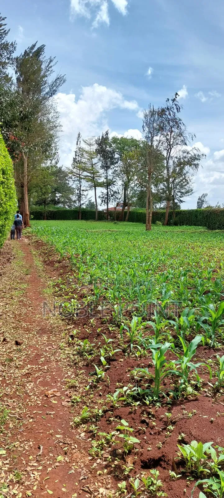 Runda Plot on Sale