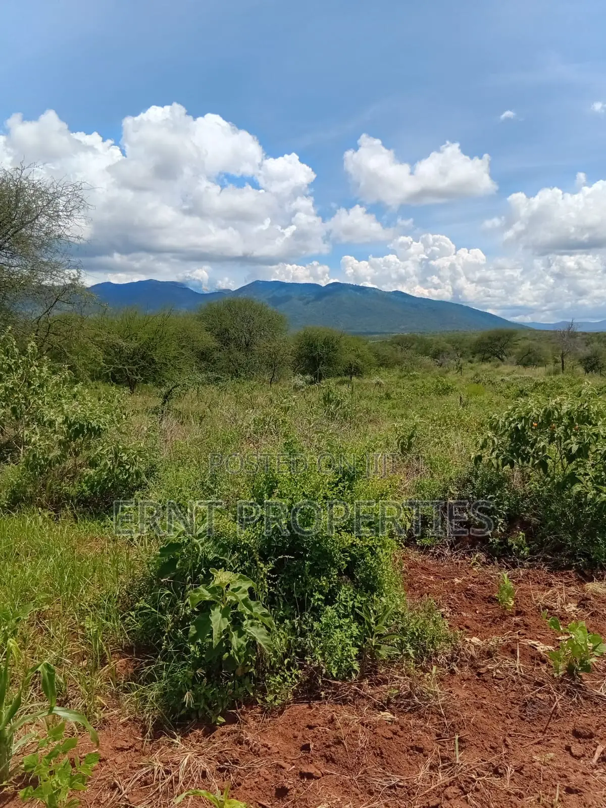 22.6 Acre Land for Sale in Maili Tisa