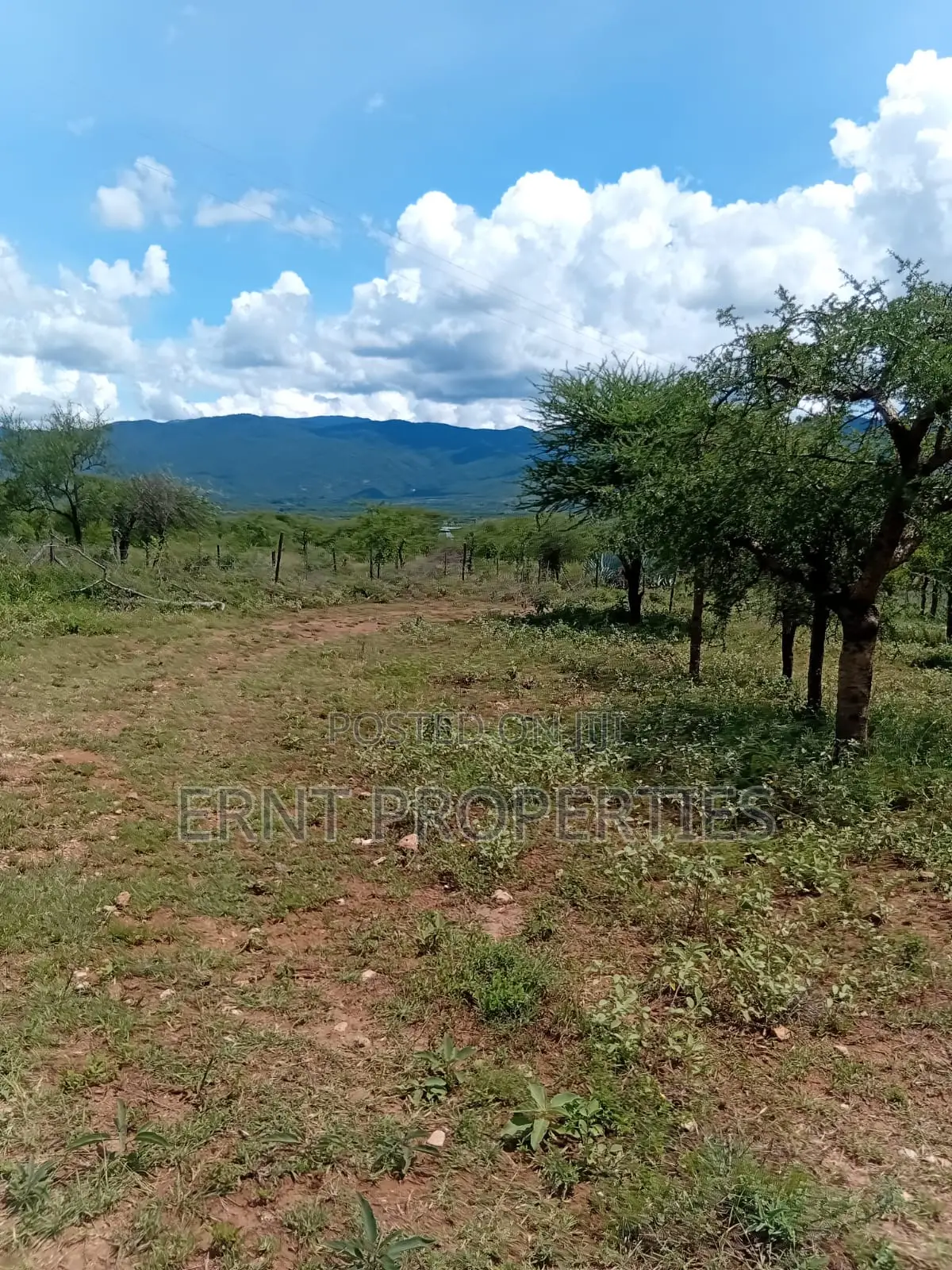 22.6 Acre Land for Sale in Maili Tisa