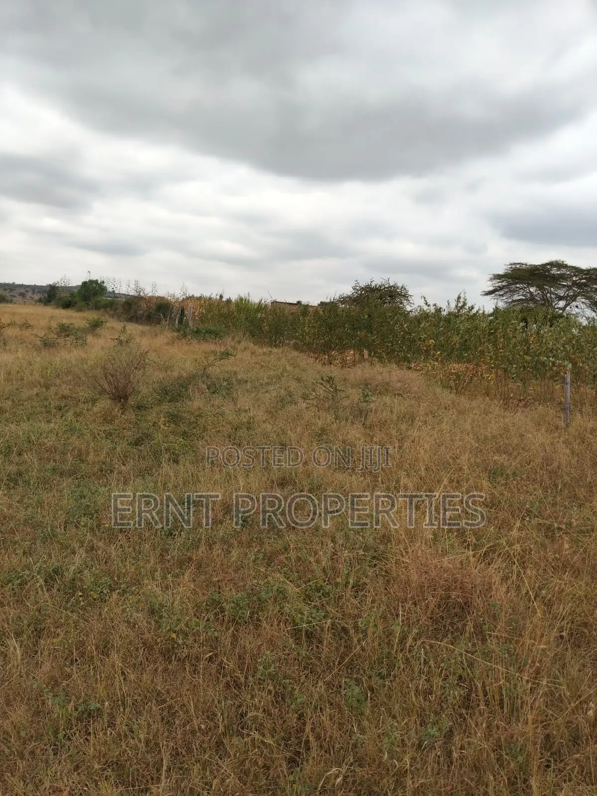 Prime 5 Acre Land Near Waumini Sacco, Lukenya Views