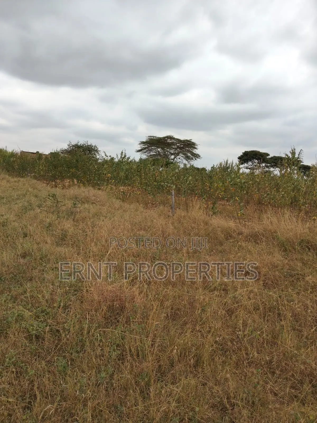 Prime 5 Acre Land Near Waumini Sacco, Lukenya Views