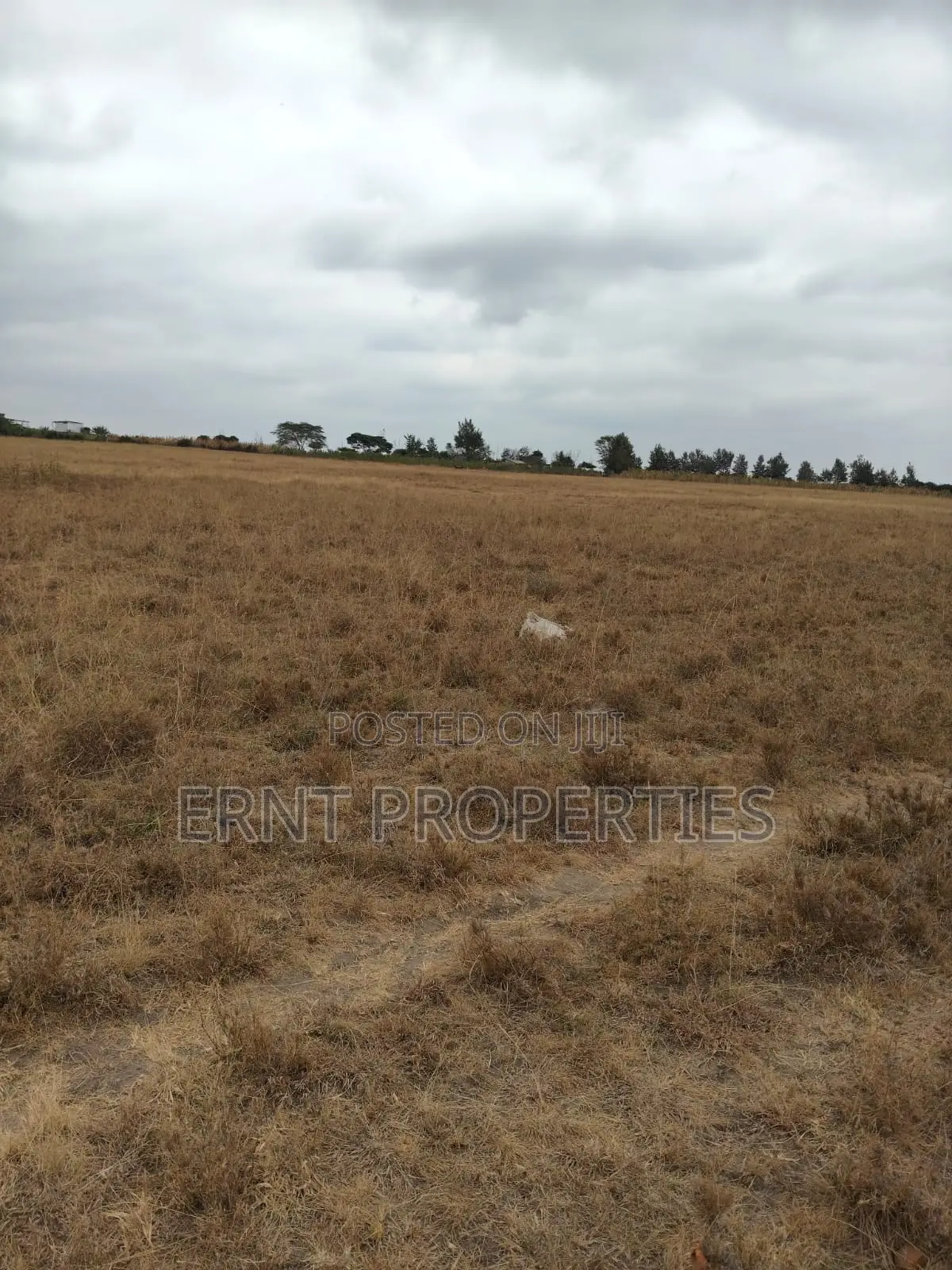 Prime 5 Acre Land Near Waumini Sacco, Lukenya Views
