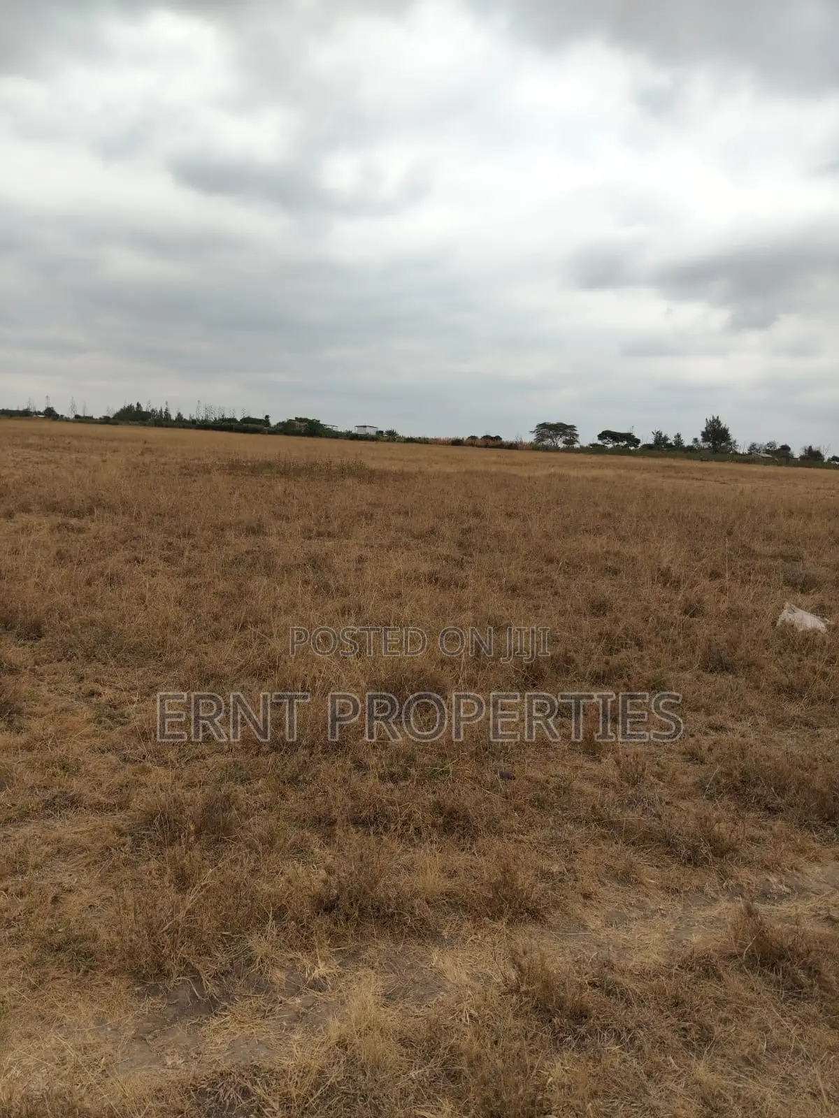 Prime 5 Acre Land Near Waumini Sacco, Lukenya Views