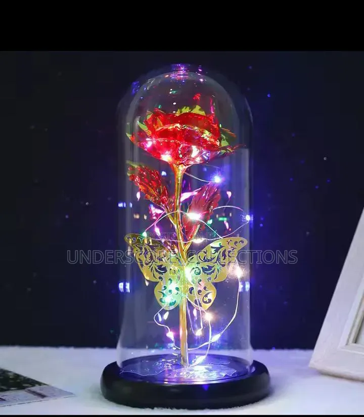 Butterfly Night Light