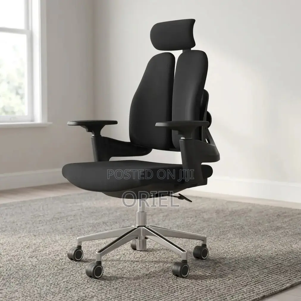 Office Chair : Dual Backrest Executive Orthopedic Office Chair