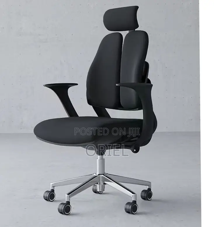 Office Chair : Dual Backrest Executive Orthopedic Office Chair