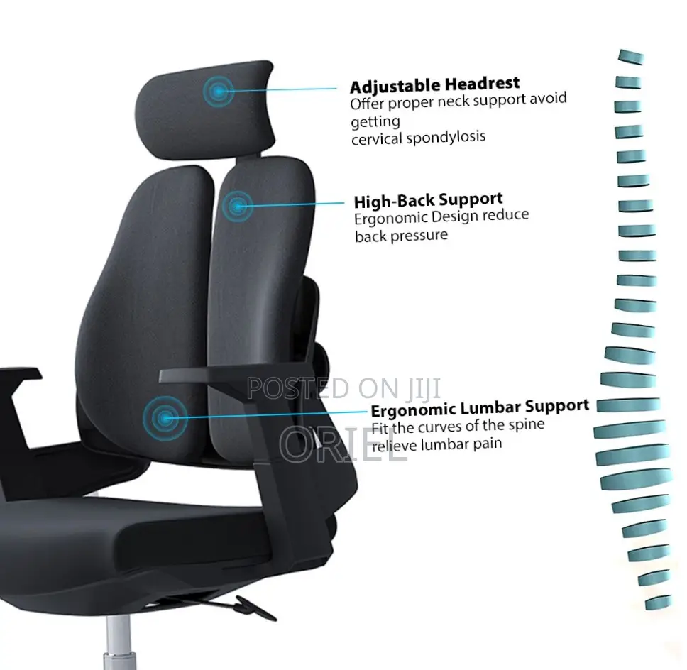 Office Chair : Dual Backrest Executive Orthopedic Office Chair