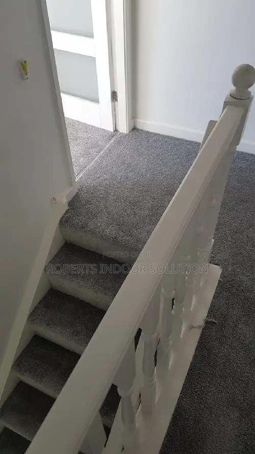 Long-Lasting Delta Wall-to-Wall Carpets for Sale