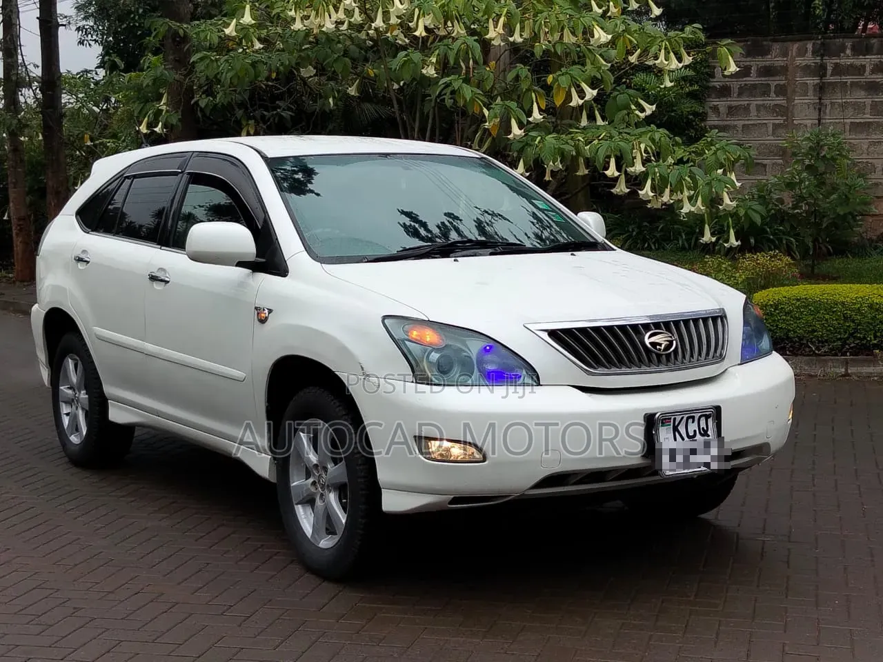 Toyota Harrier 2010 White