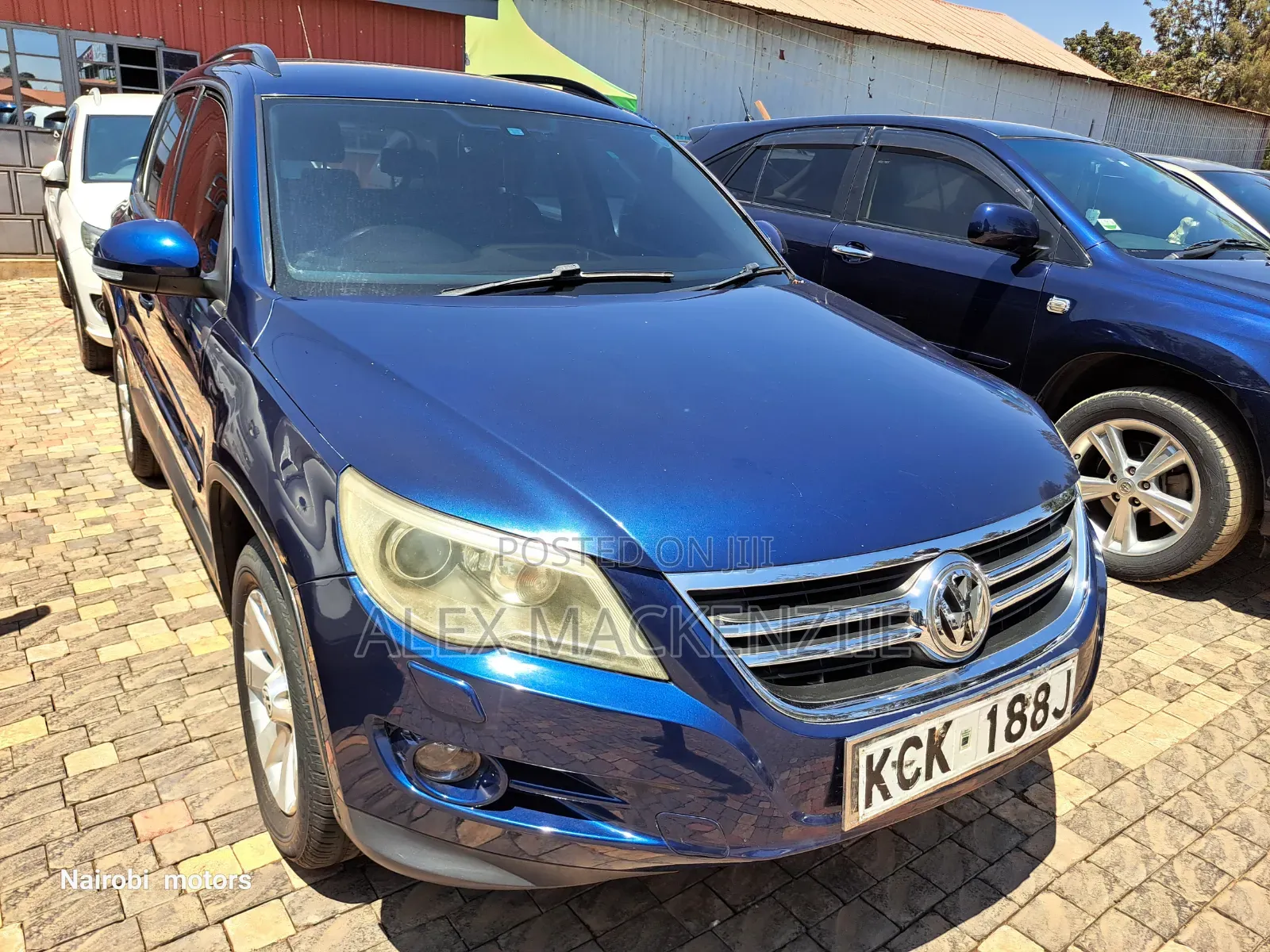 Volkswagen Tiguan 2009 Blue