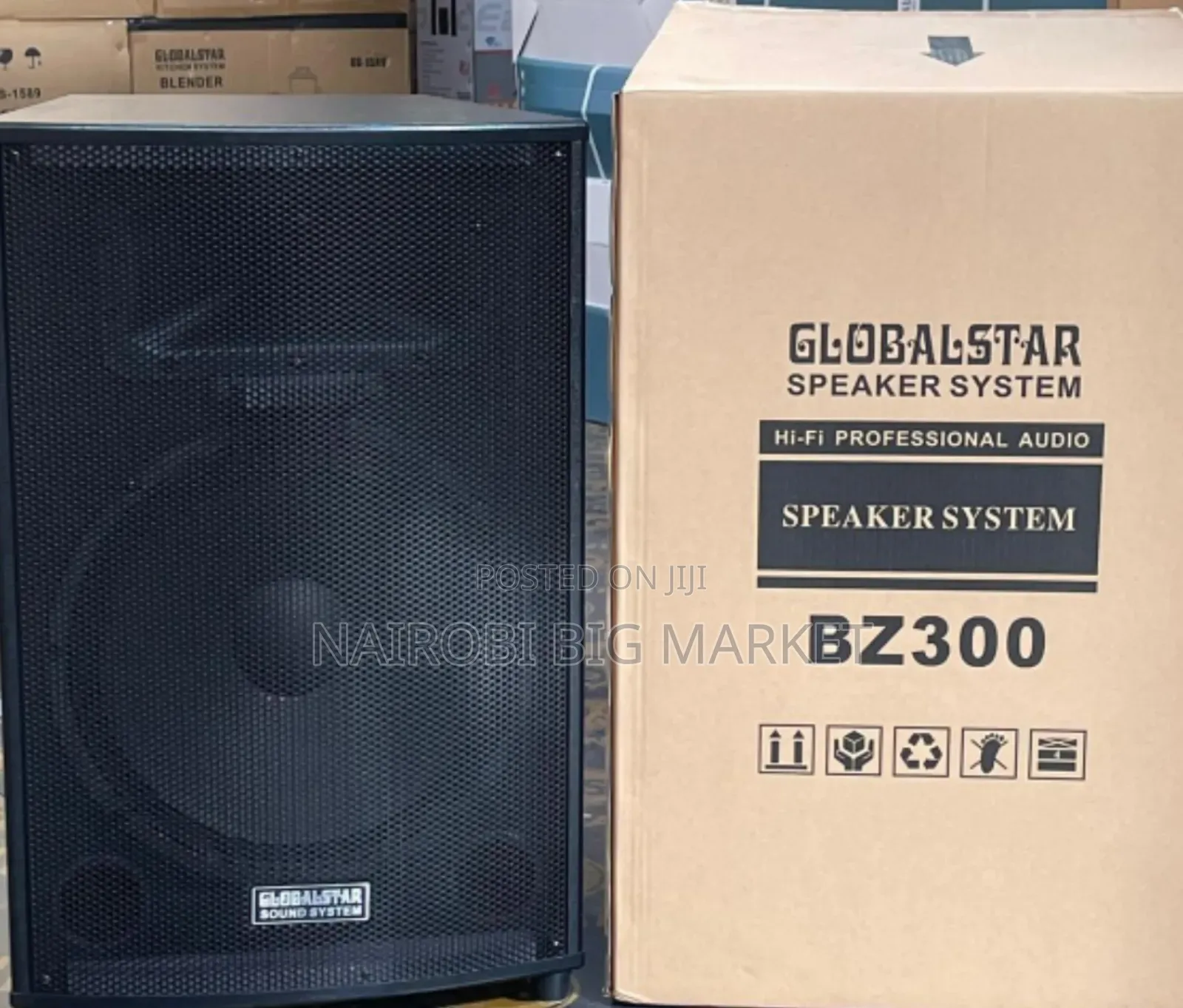 Globalstar BZ300 15" Amplifier Speaker