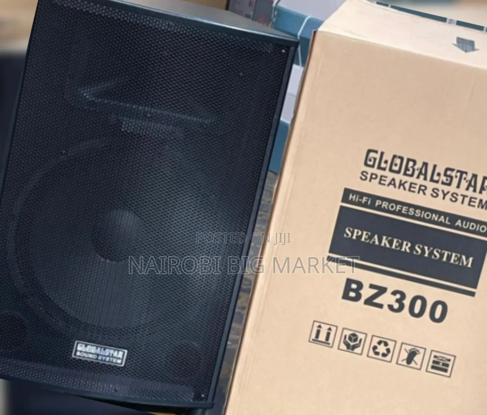 Globalstar BZ300 15" Amplifier Speaker