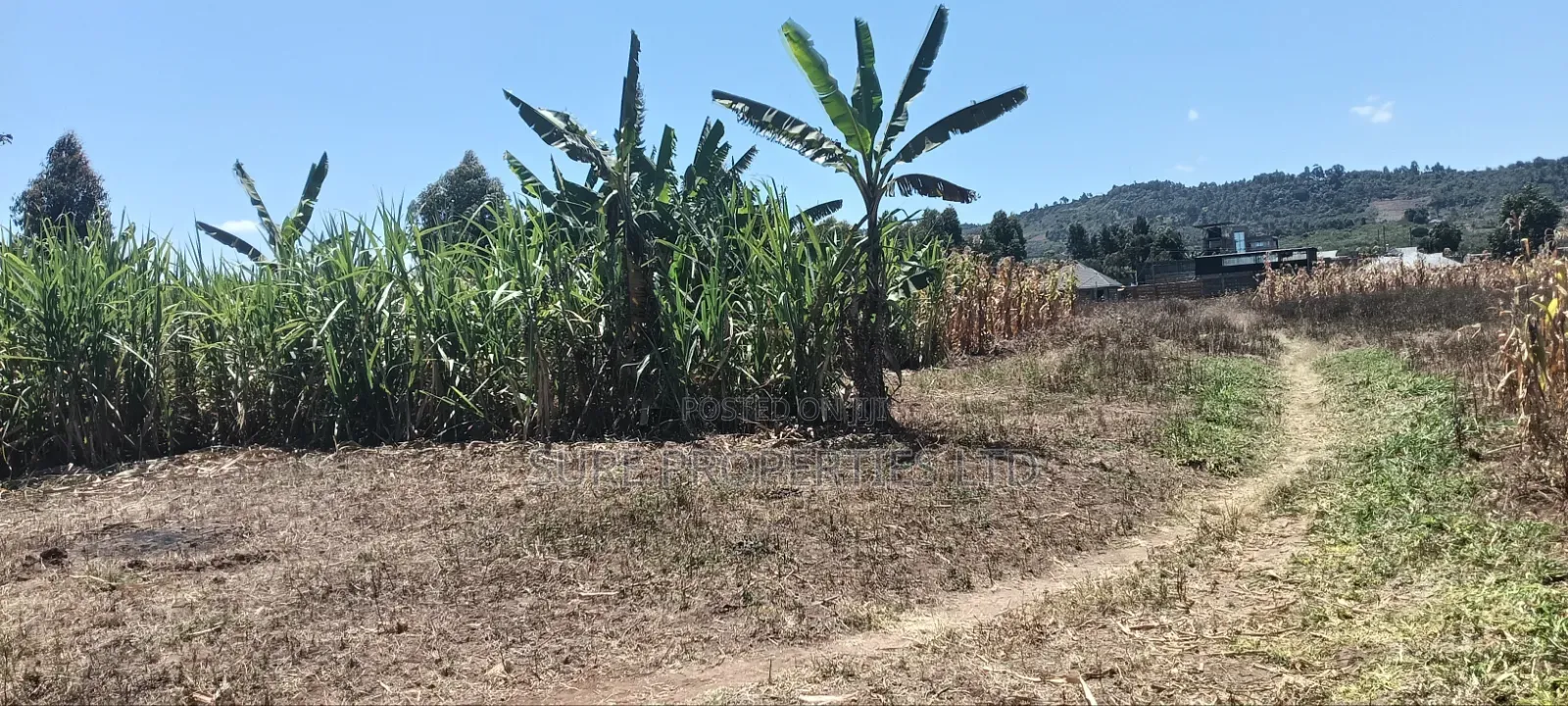 100x100 Plot in Kikuyu Kamangu/Ndiguini Lusingetti