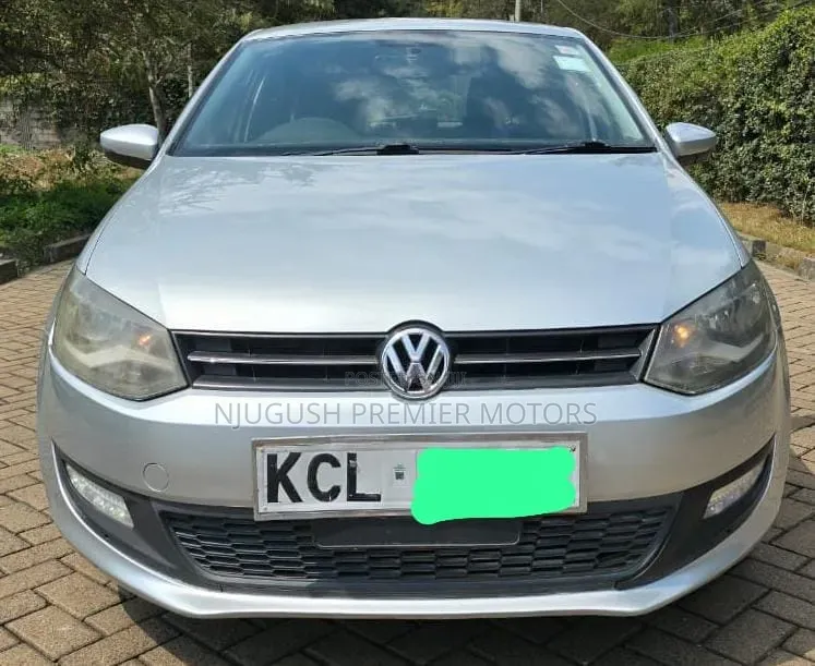 Volkswagen Polo 2011 Silver