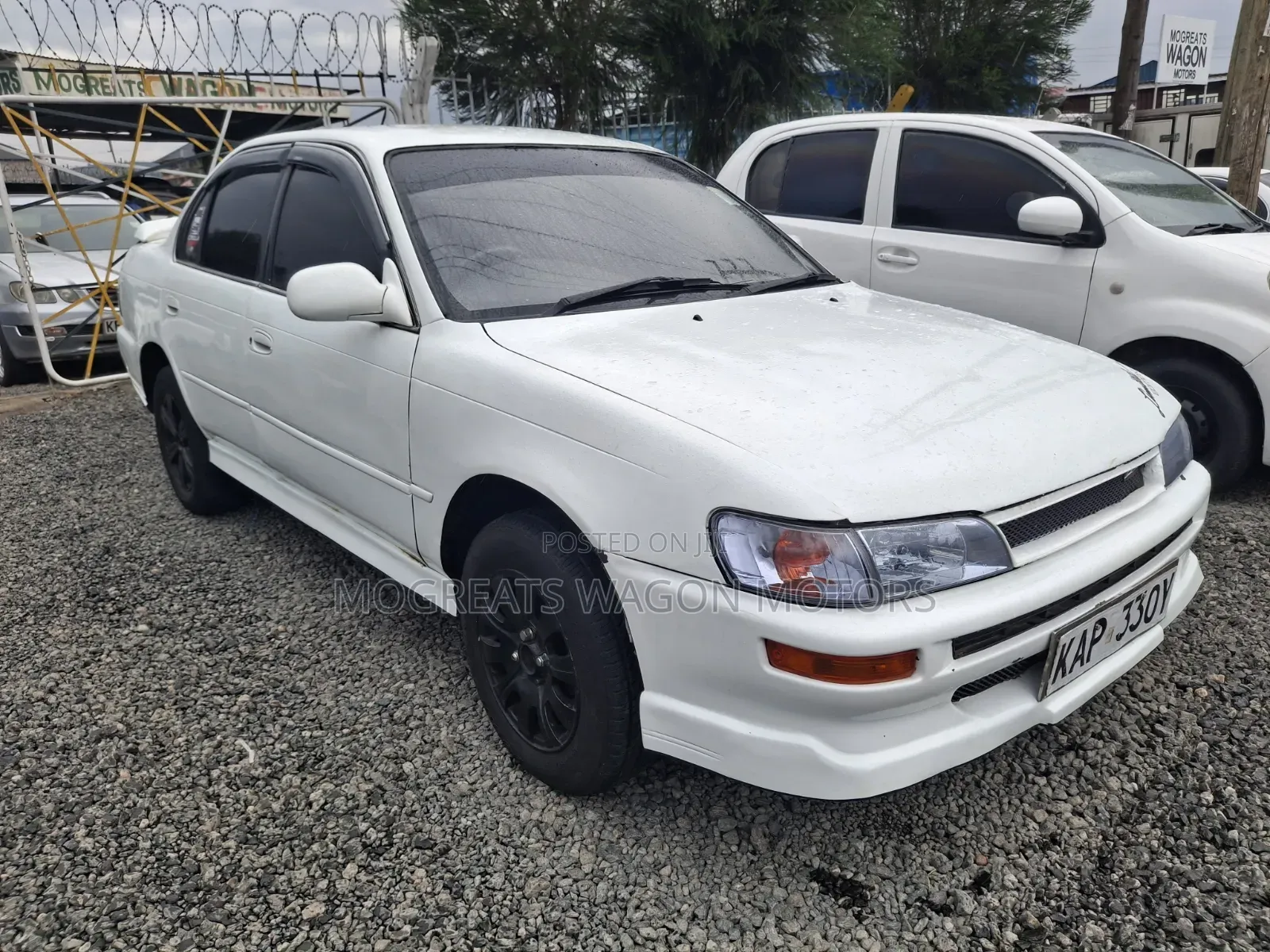 Toyota Corolla 1998 White