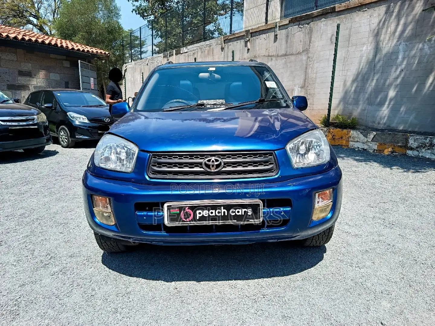 Toyota RAV4 2002 Blue