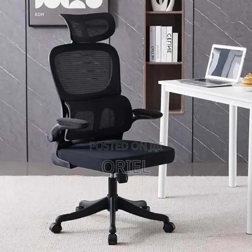 Office Chair : Ergonomic Chair With Flip Armrest
