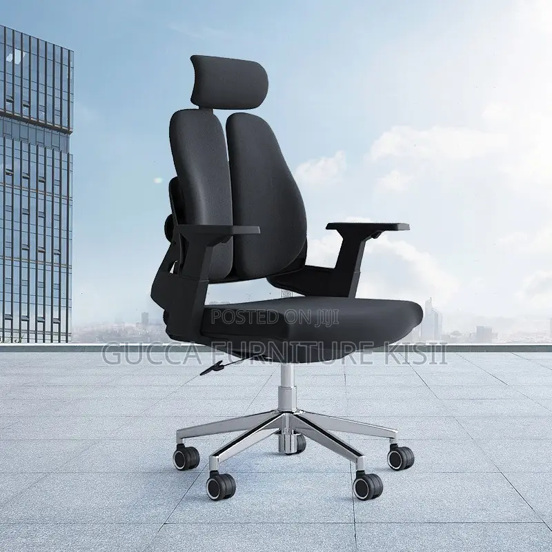 Office Chair; Dual Orthopedic Reclining Office Seat
