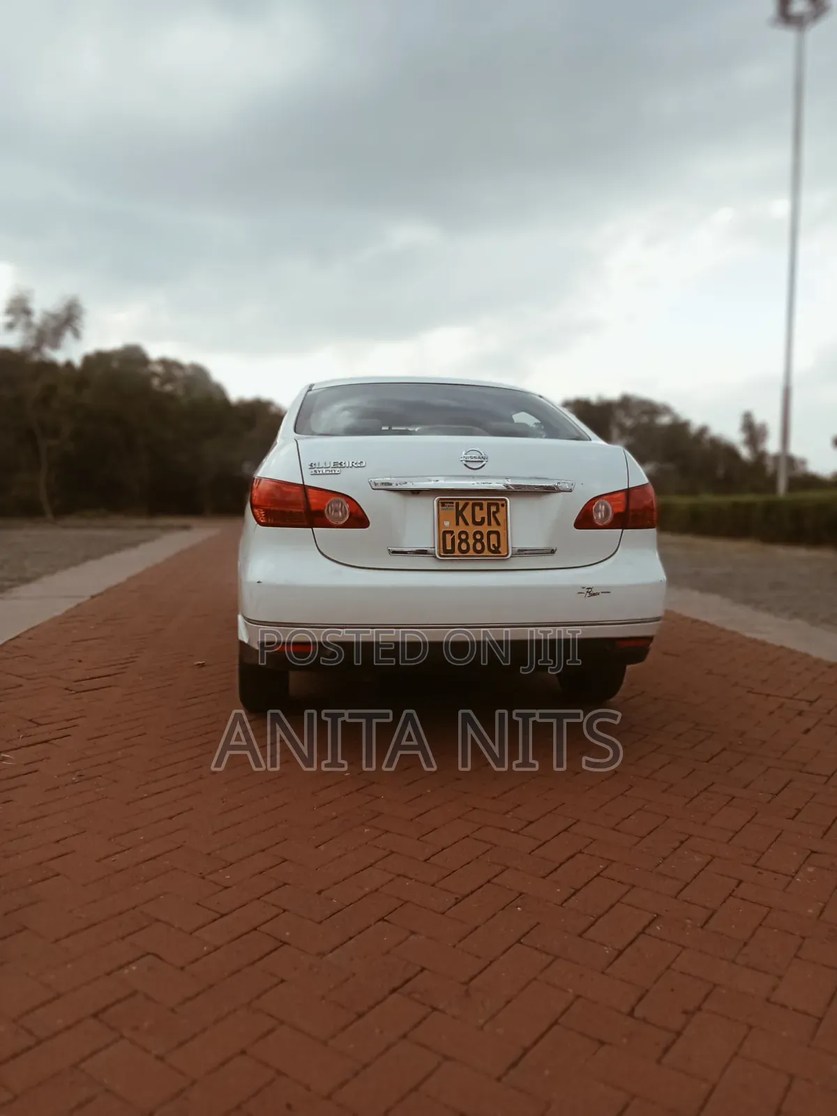Nissan Bluebird 2012 White