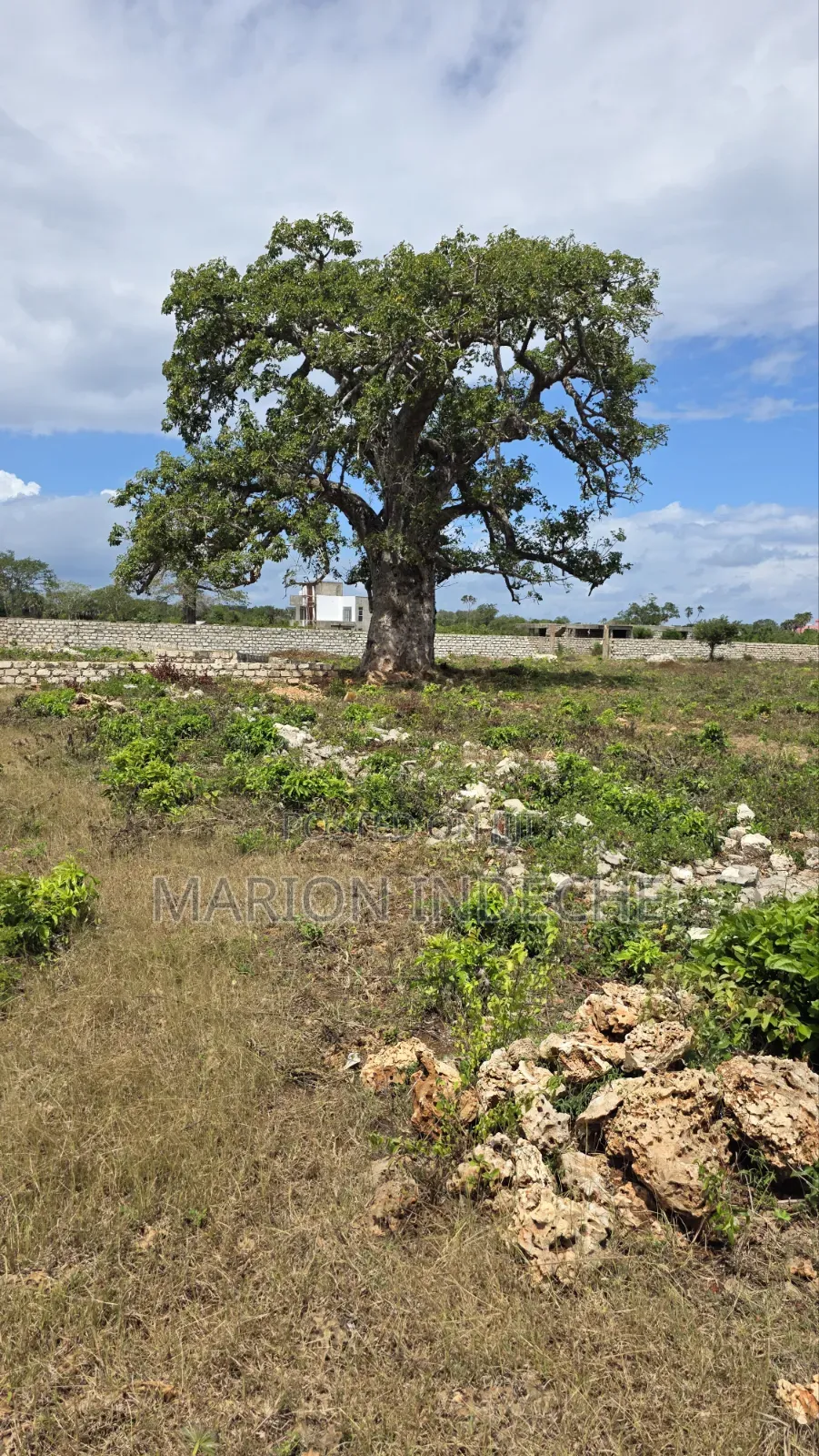 Diani Prime 50x100ft Plots for Sale