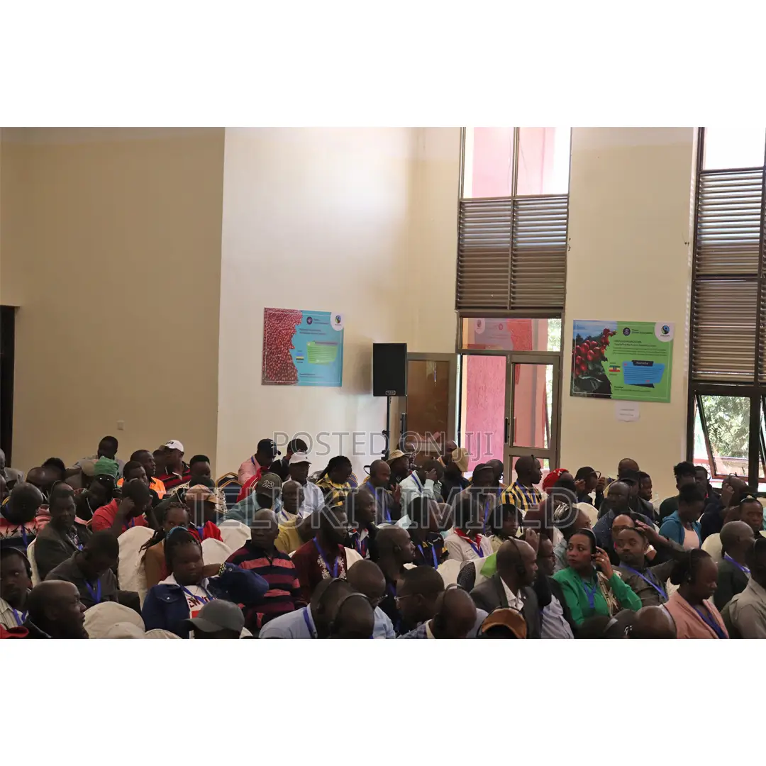 PA System Hire Sound for Birthday Parties