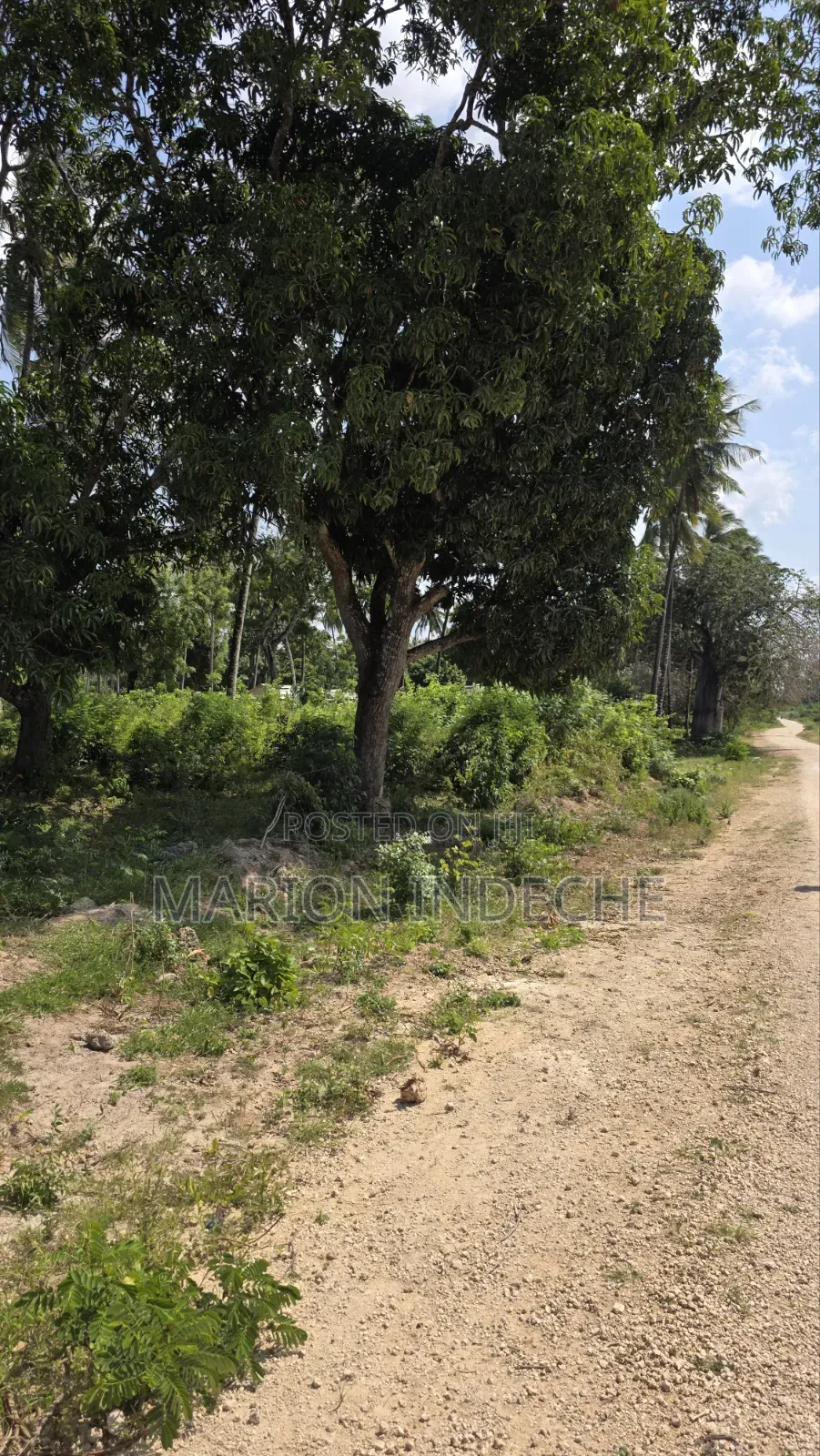2 Acres for Sale in Kilifi Tezo Ideal for Both Residential/ Farmland