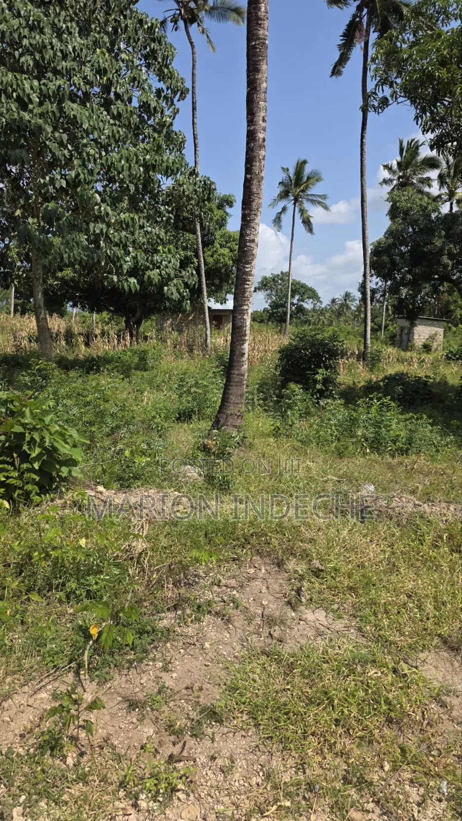 2 Acres for Sale in Kilifi Tezo Ideal for Both Residential/ Farmland