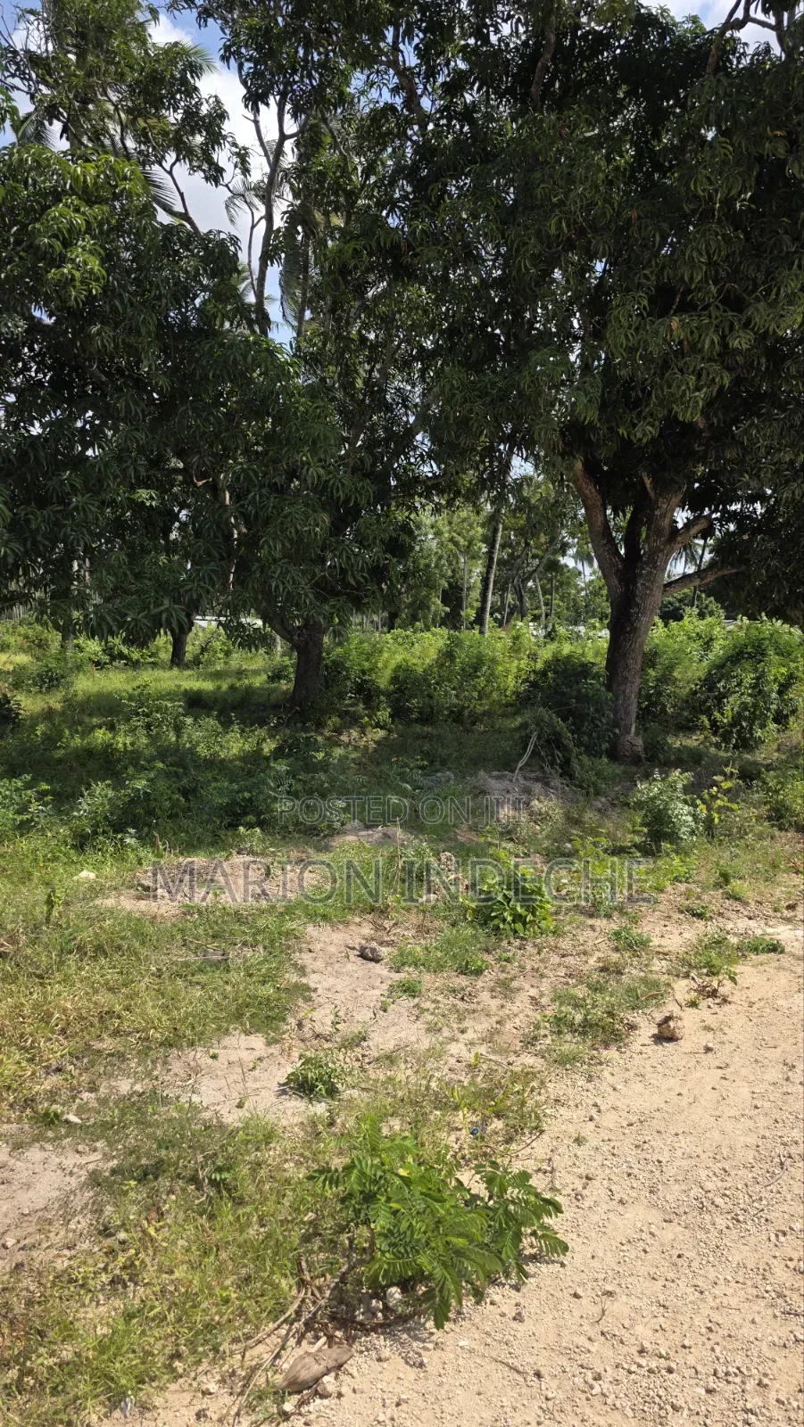 2 Acres for Sale in Kilifi Tezo Ideal for Both Residential/ Farmland