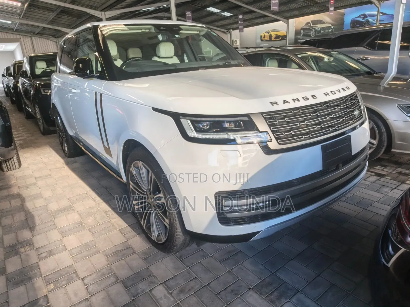 Rover Land 2022 White