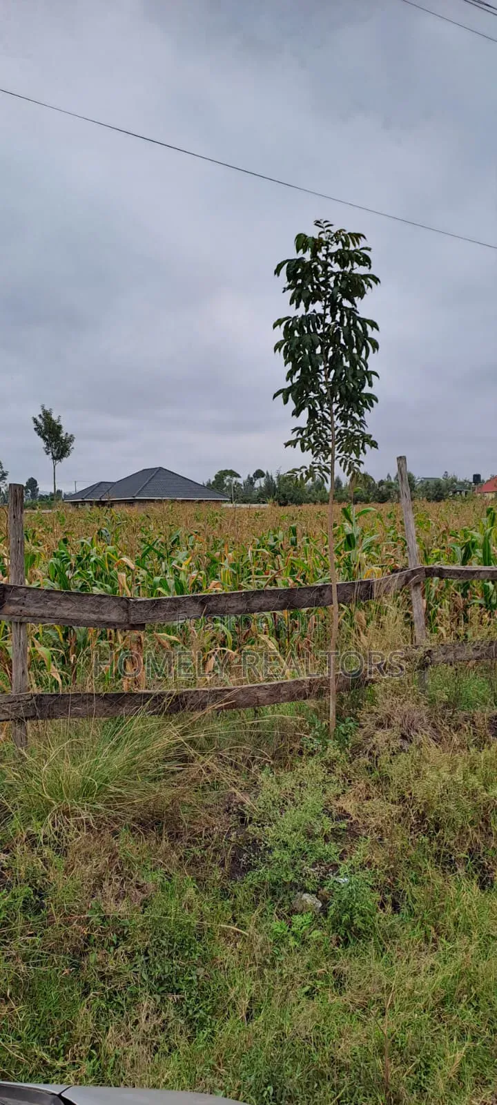 Eighth Acre Plots for Sale in Ongata Rongai, Rang'au Area