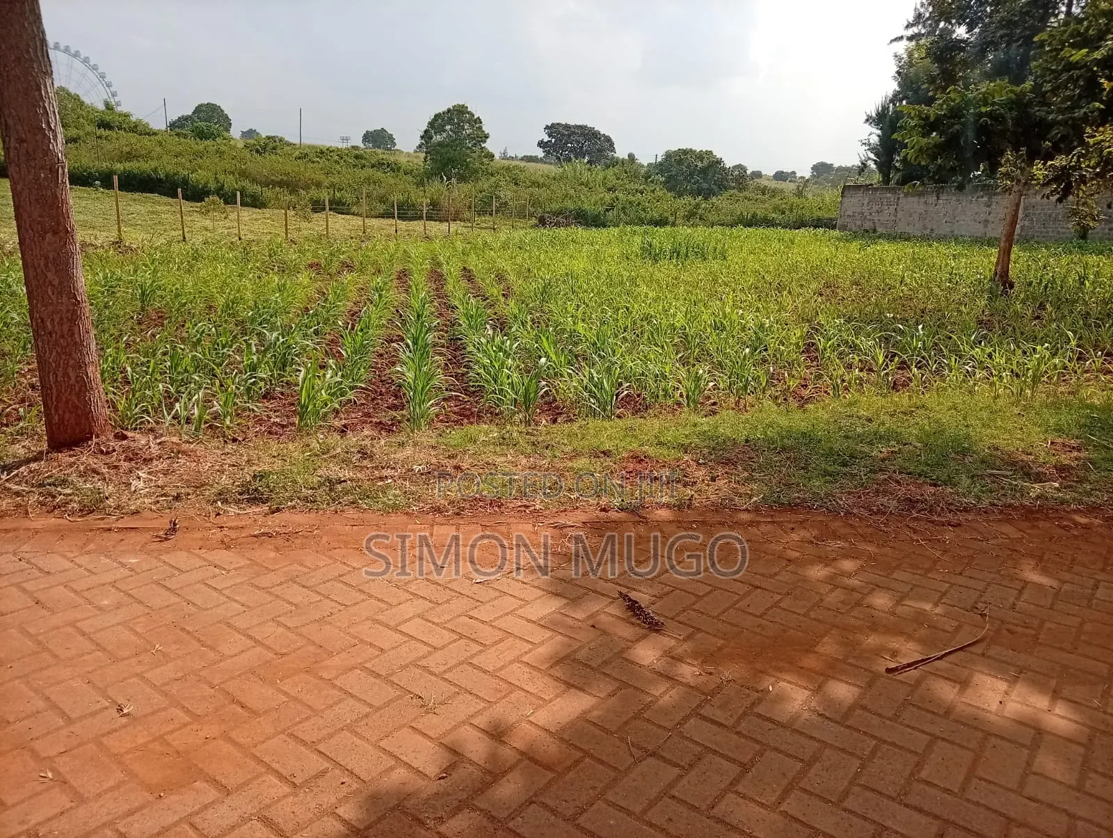 Runda Gardens Prime Residential Serviced Well Drained Red Soil 3/4 AC