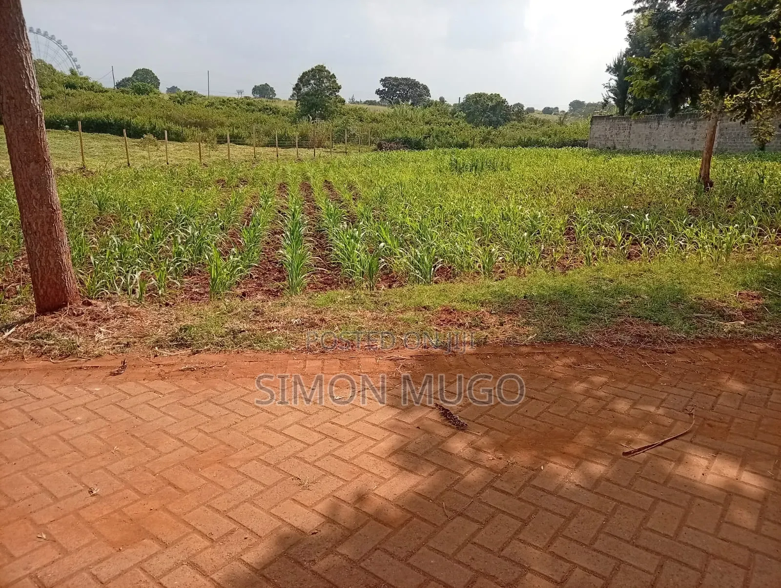 Runda Gardens Prime Residential Serviced Well Drained Red Soil 3/4 AC