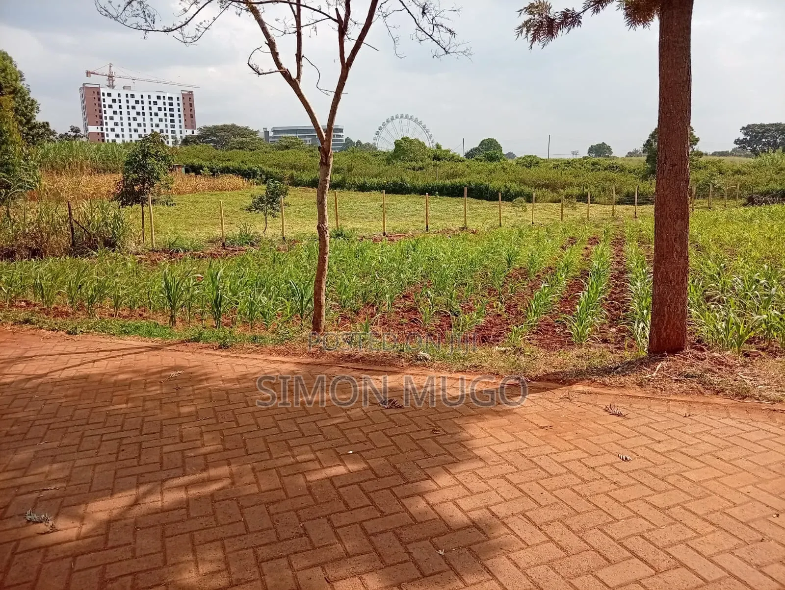 Runda Gardens Prime Residential Serviced Well Drained Red Soil 3/4 AC