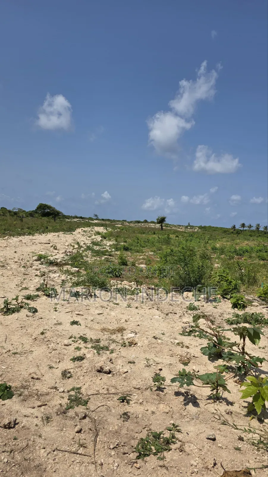 Chumani Affordable 50x100ft Beach Plots for Sale