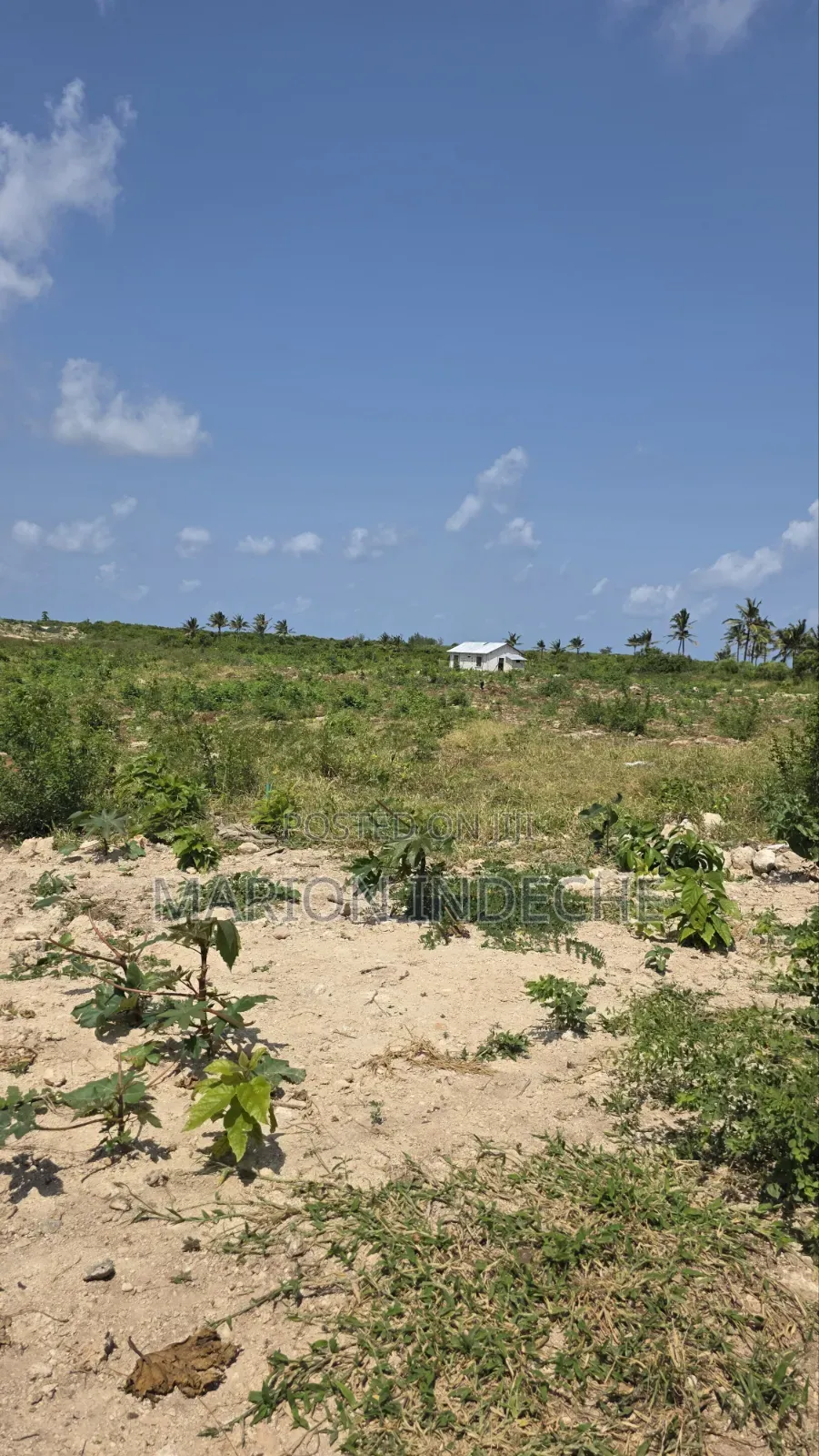 Chumani Affordable 50x100ft Beach Plots for Sale