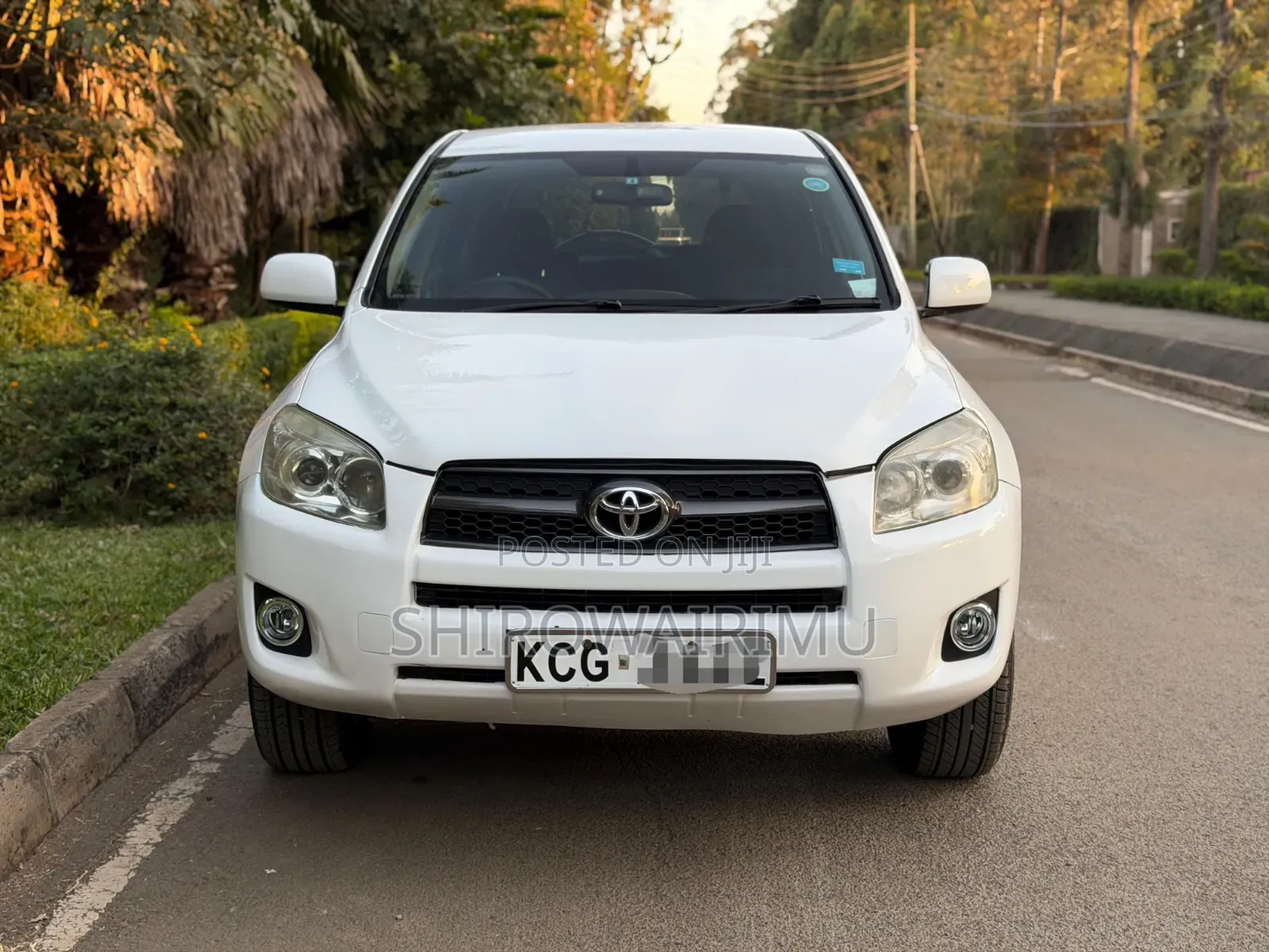 Toyota RAV4 2009 Pearl