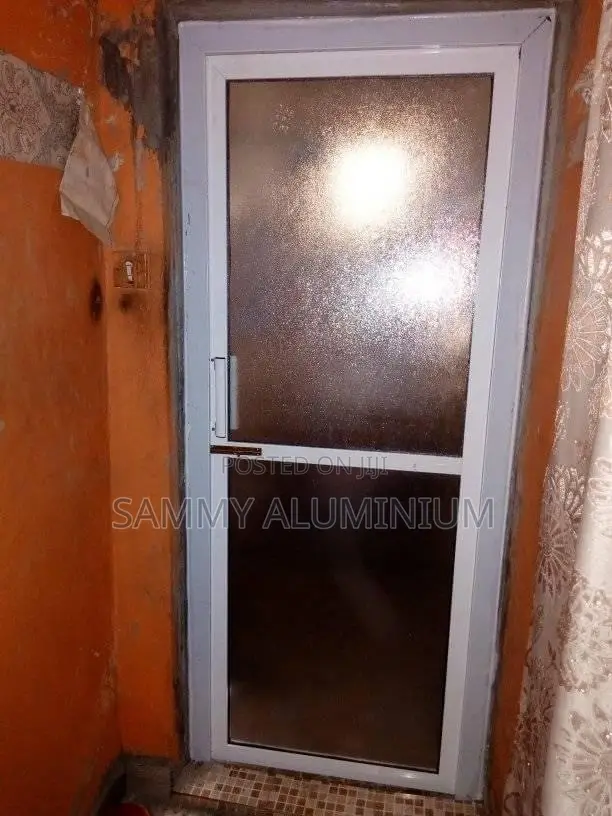 Modern Toilet Doors
