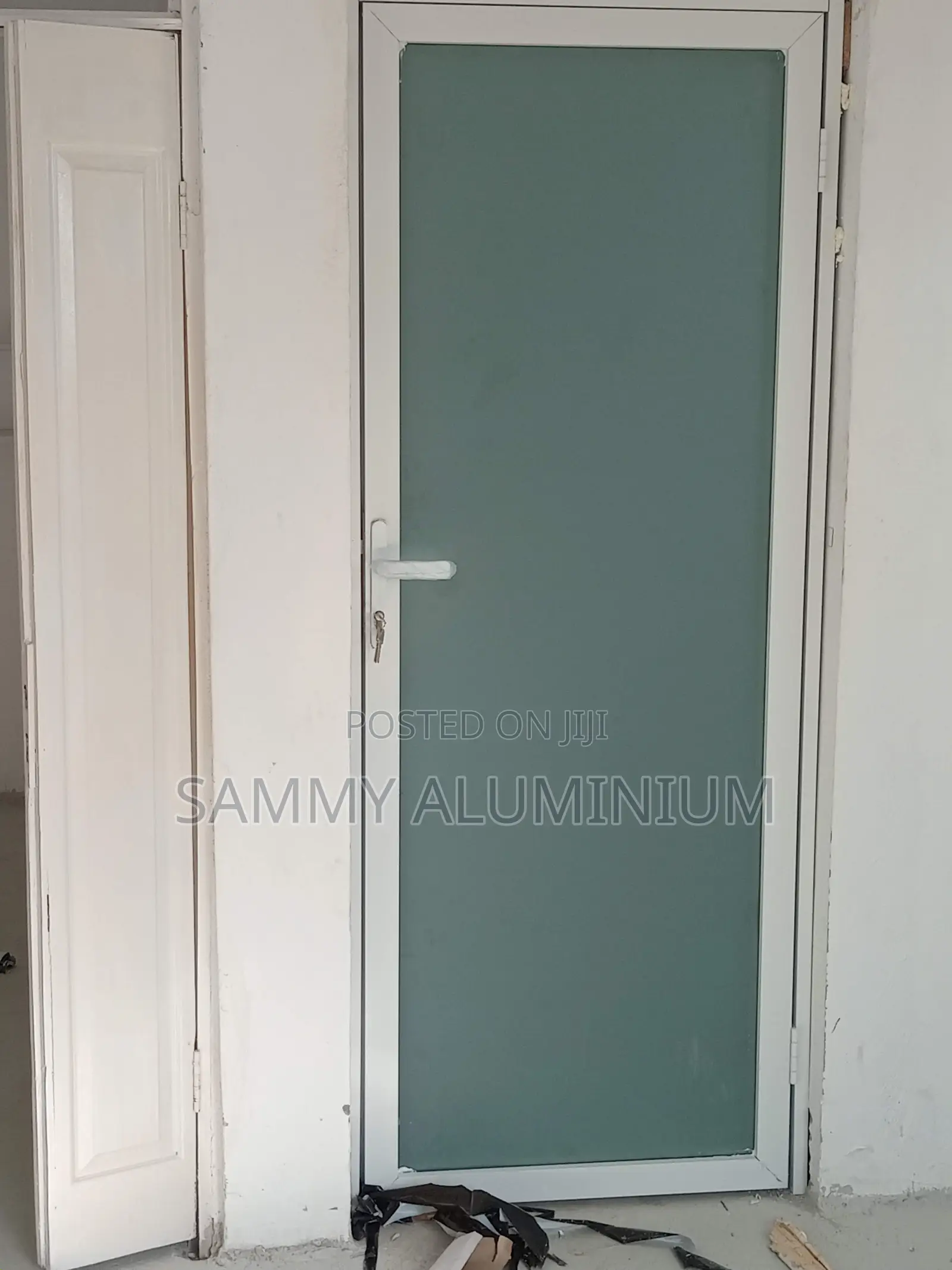Modern Toilet Doors