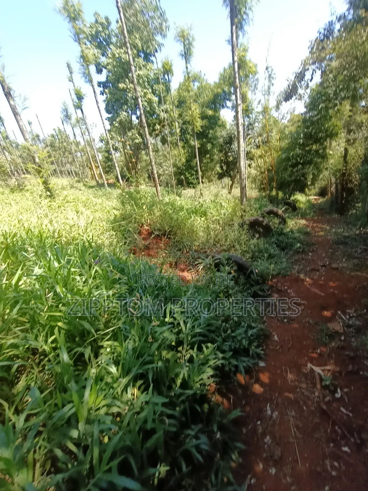 Developed Land4 Acres to Sell in Karen Kalinde