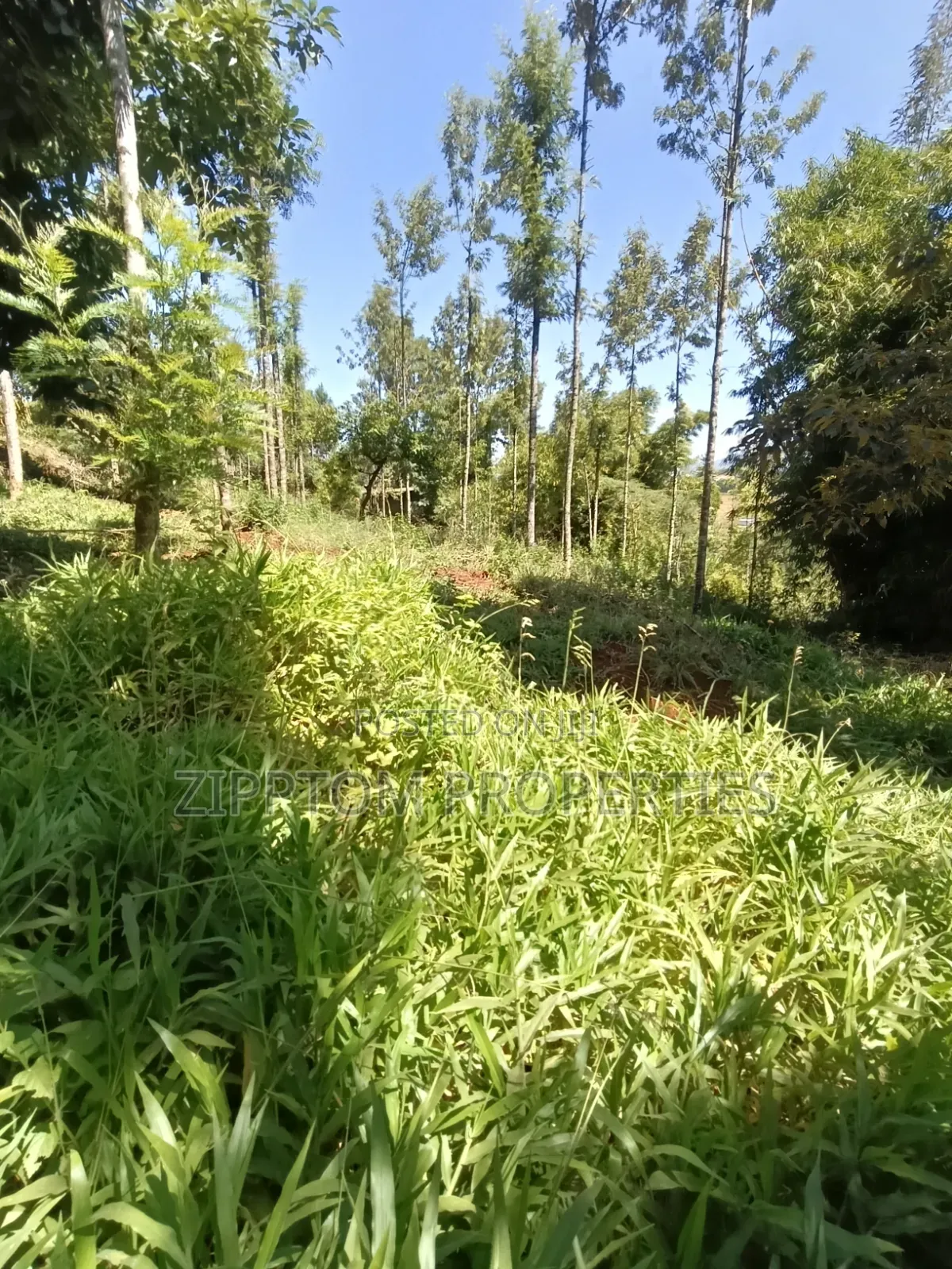 Developed Land4 Acres to Sell in Karen Kalinde