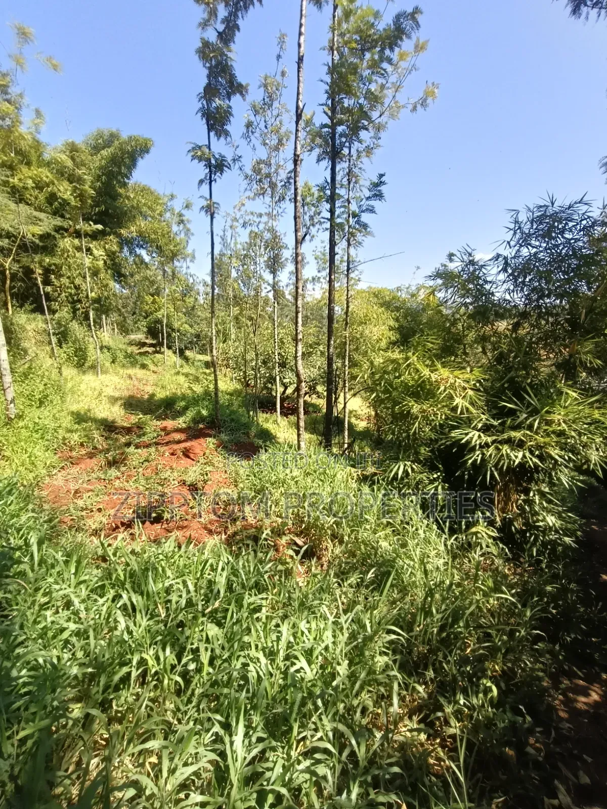 Developed Land4 Acres to Sell in Karen Kalinde