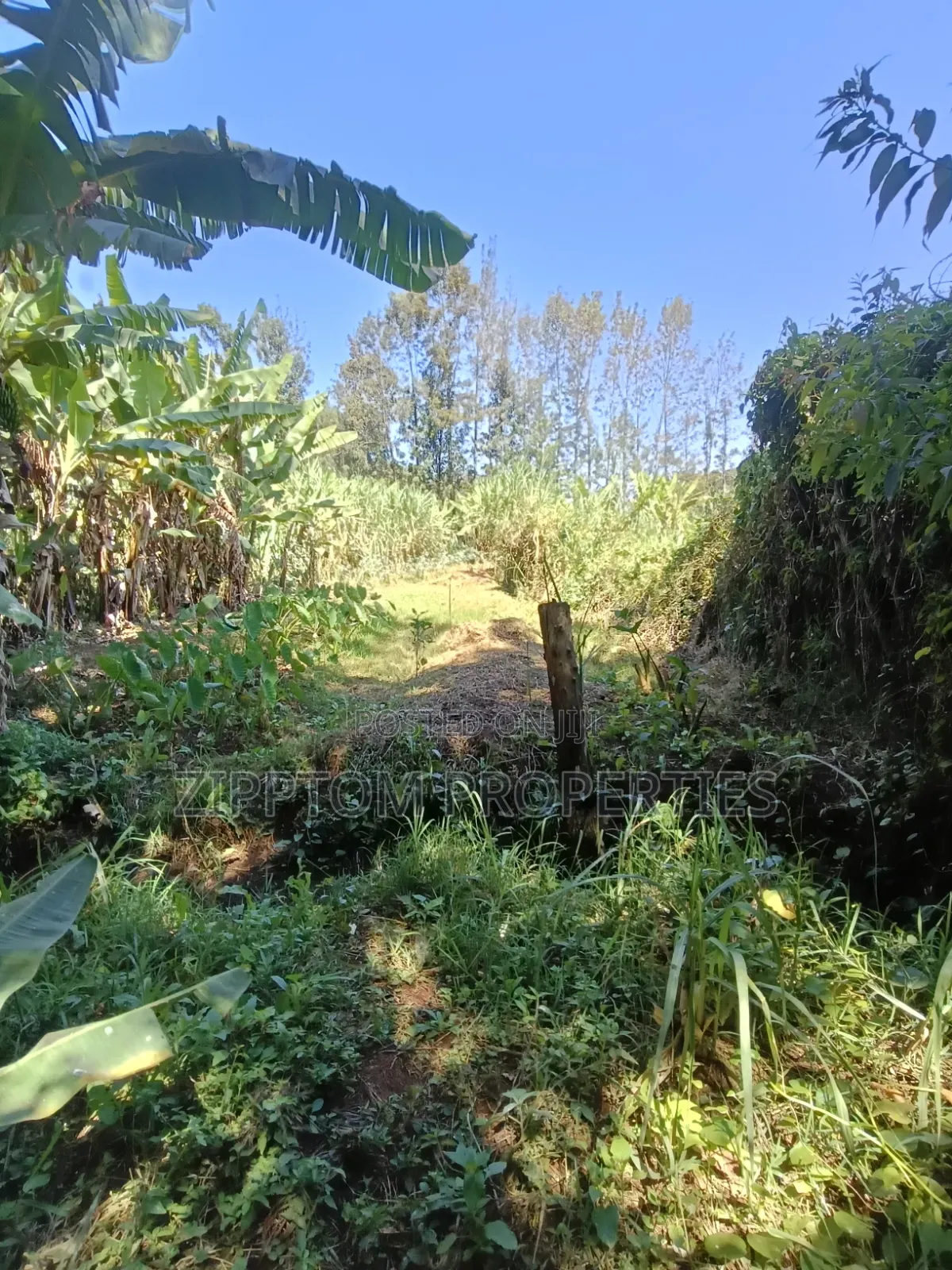 Developed Land4 Acres to Sell in Karen Kalinde