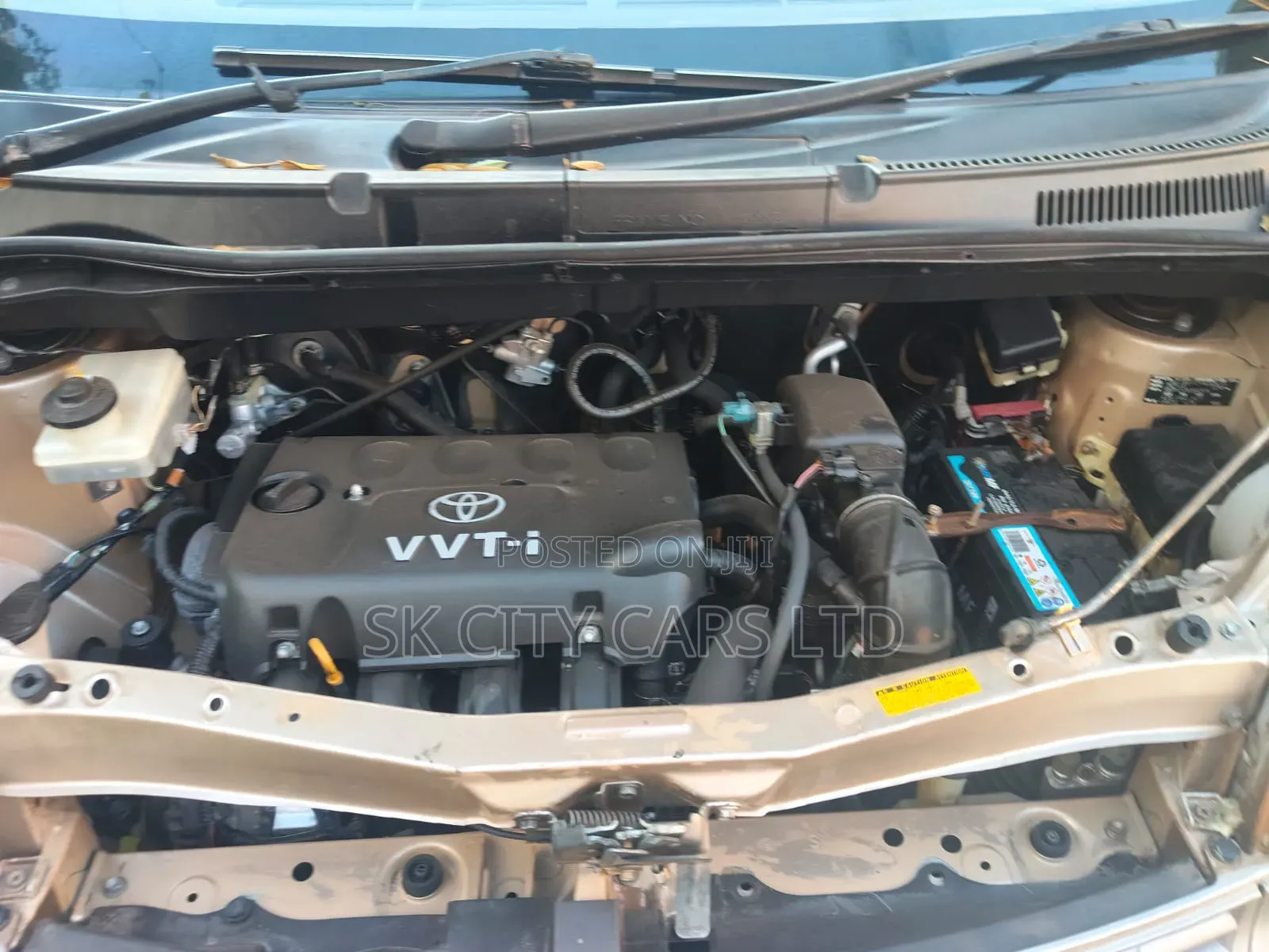 Toyota Porte 2009 Beige