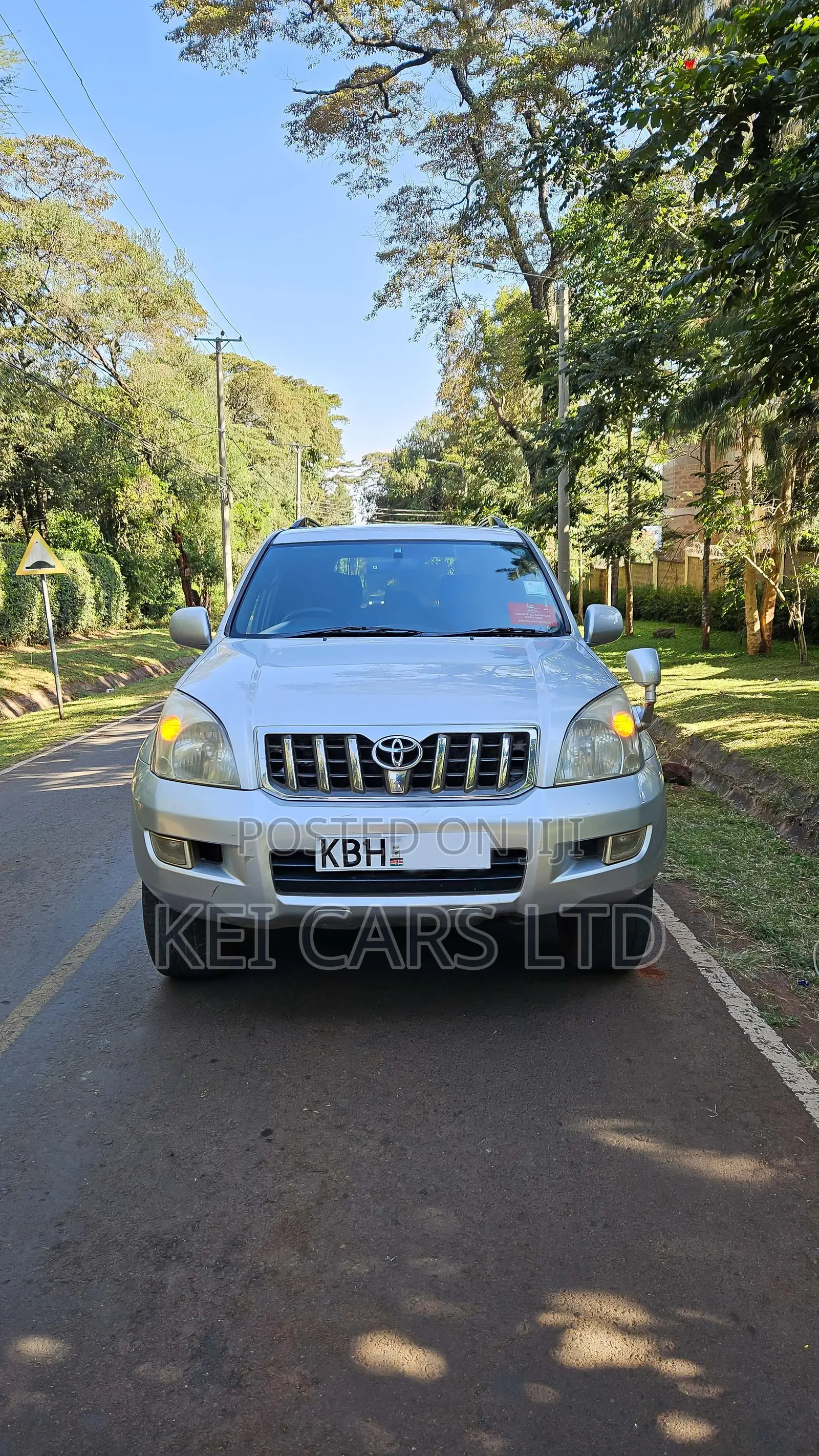 Toyota Land Cruiser 2004 Silver