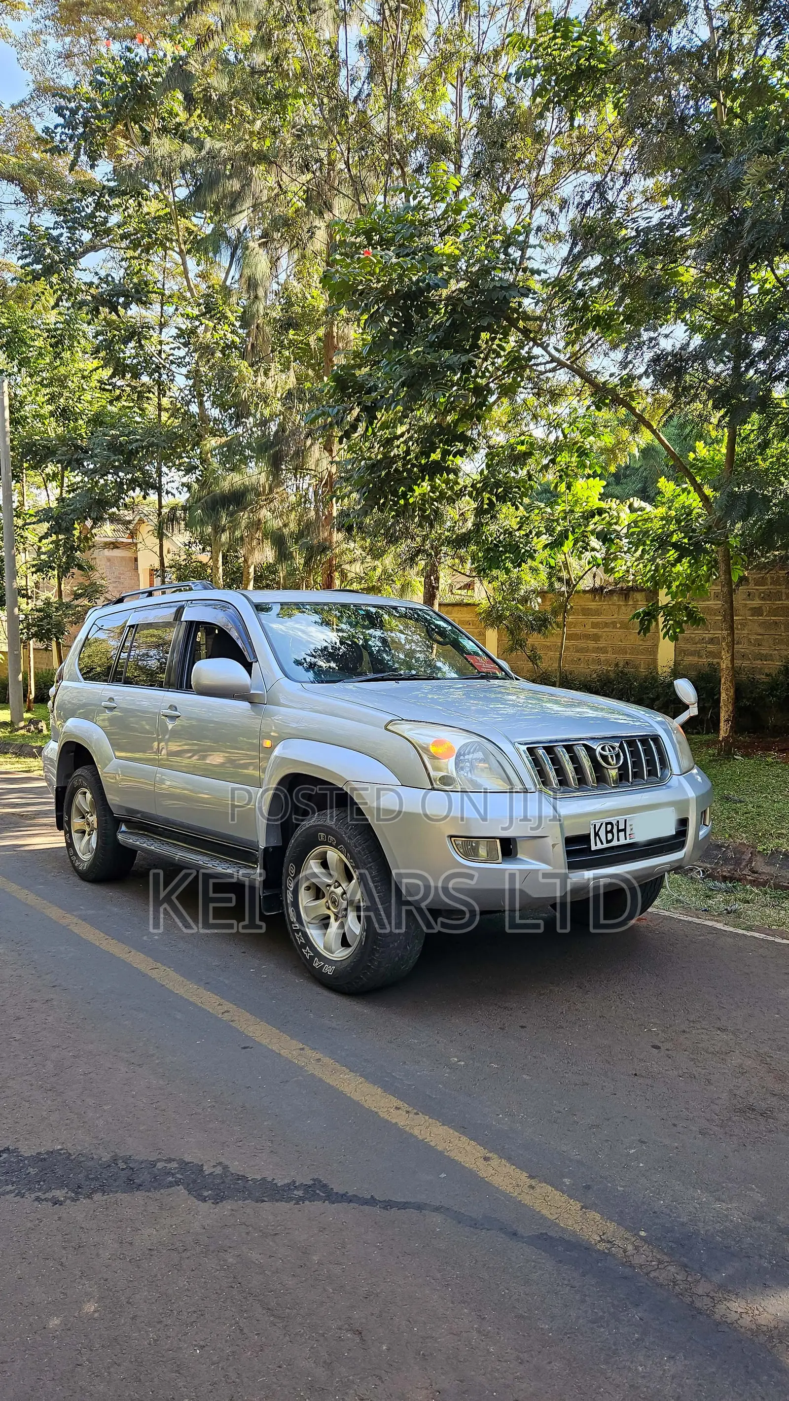 Toyota Land Cruiser 2004 Silver