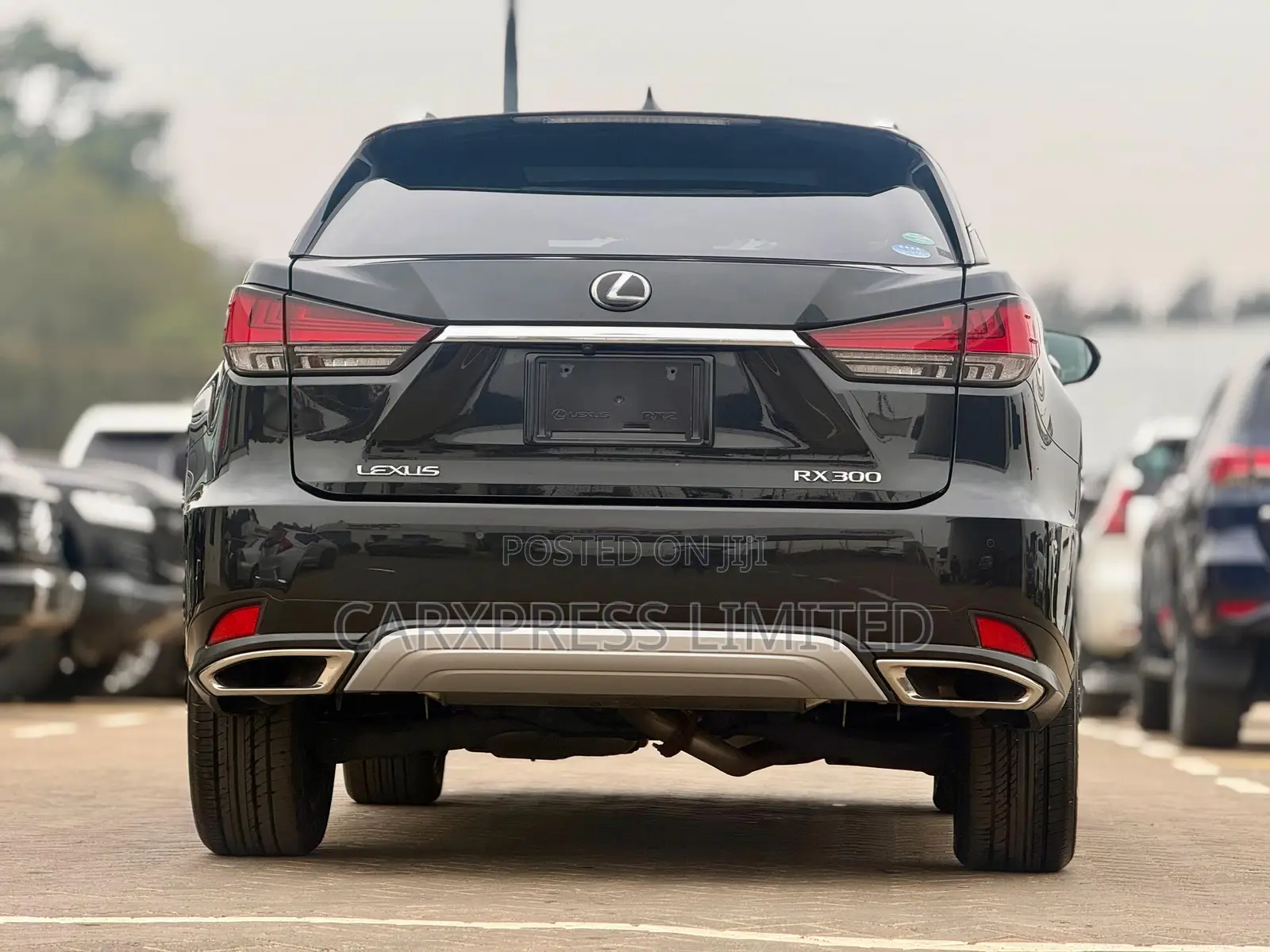 Lexus RX 300 2WD 2019 Black